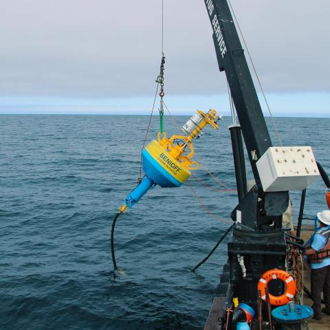 MSI Benioff Ocean Initiative boat deploys whale safe buoy