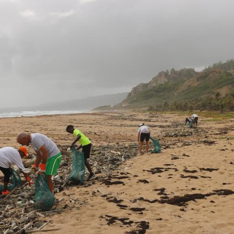 people picking up trash at a beach