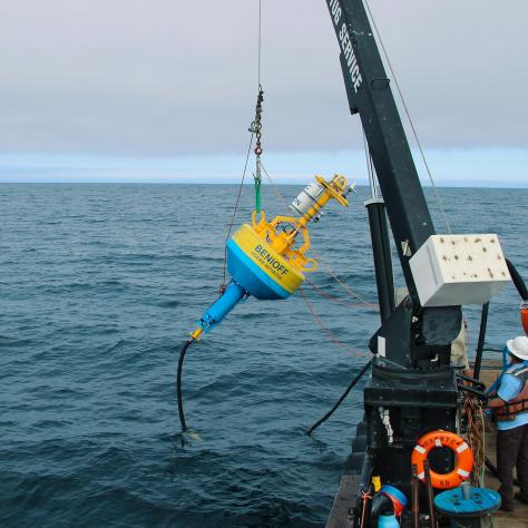 MSI Benioff Ocean Science Laboratory deploys whale safe buoy