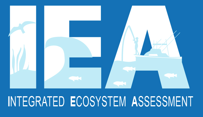 IEA logo