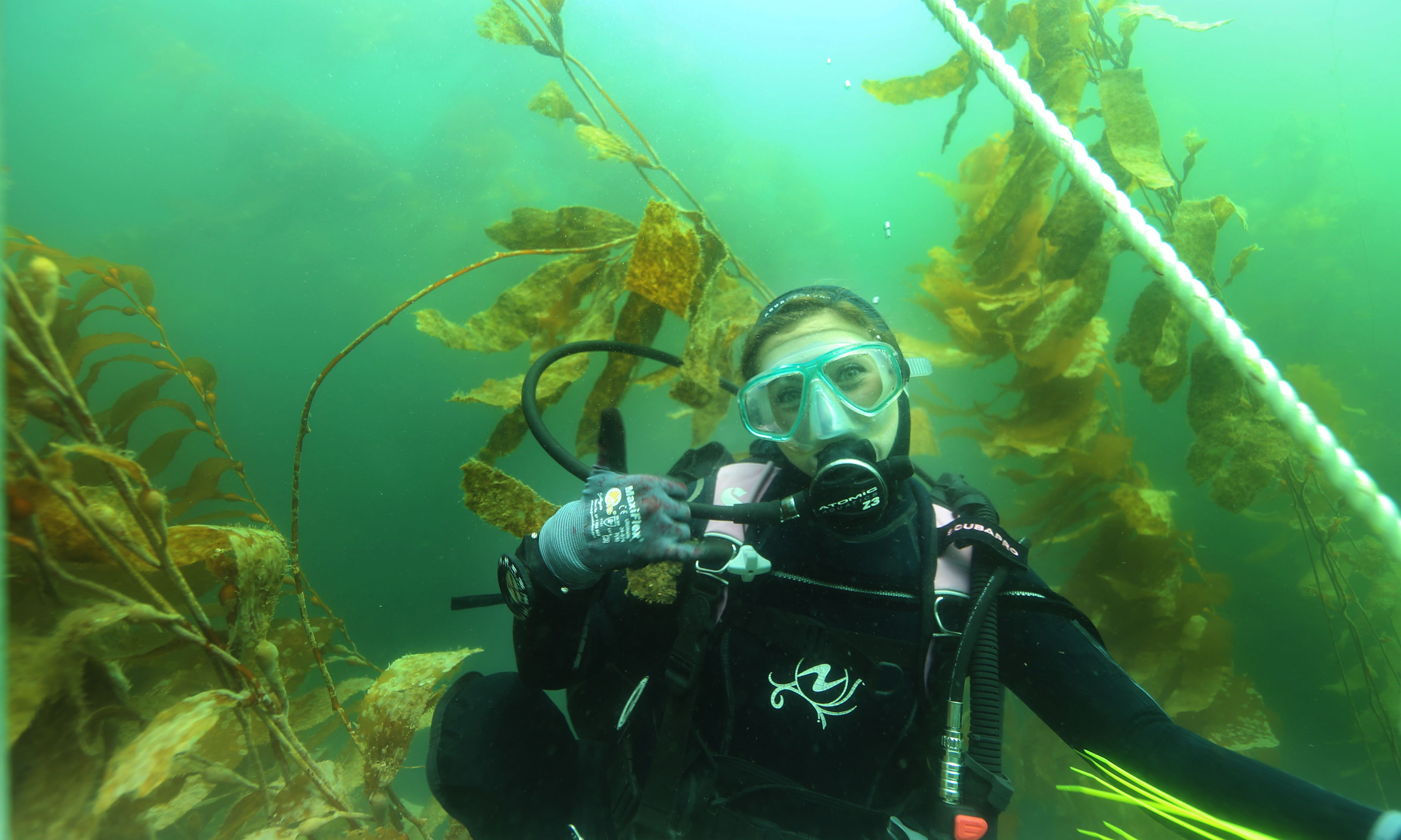 Young female diver looking at the camera underwater