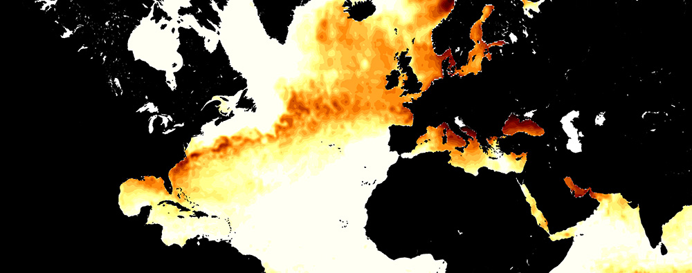 Marine Heatwaves International Working Group logo