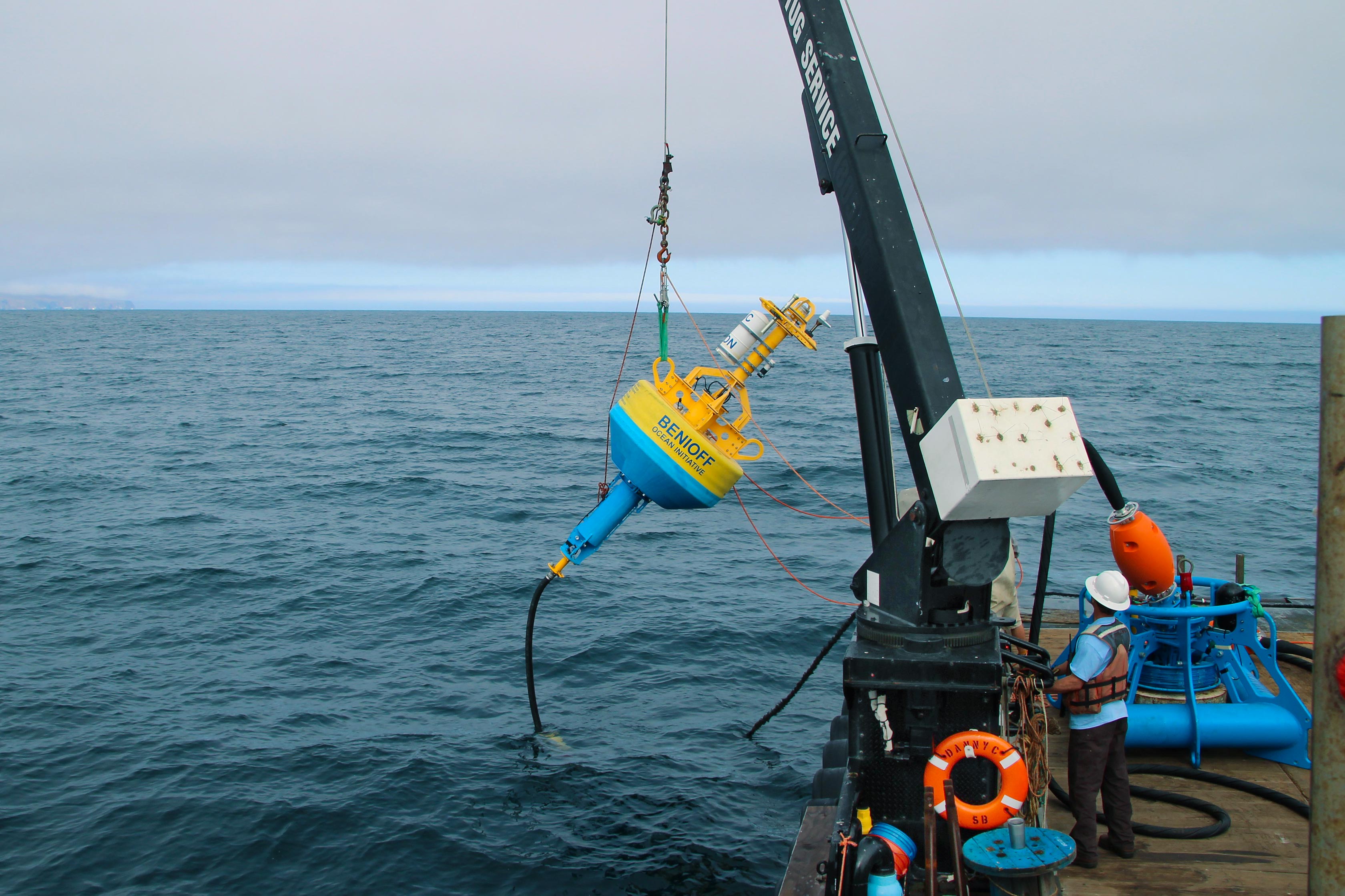 MSI Benioff Ocean Initiative deploys a whale safe buoy