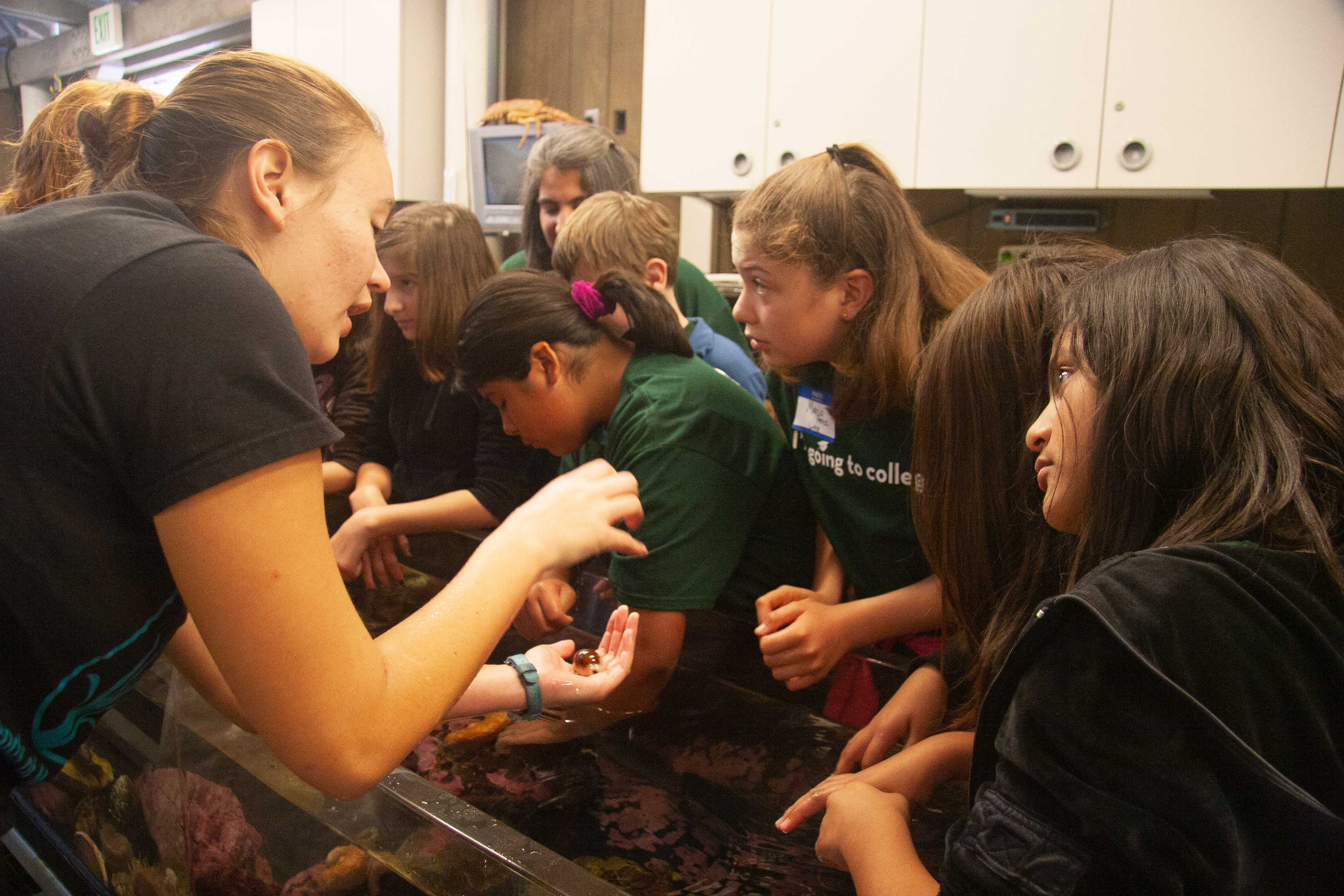 UCSB student docent teaches Harding School students around The REEF aquarium