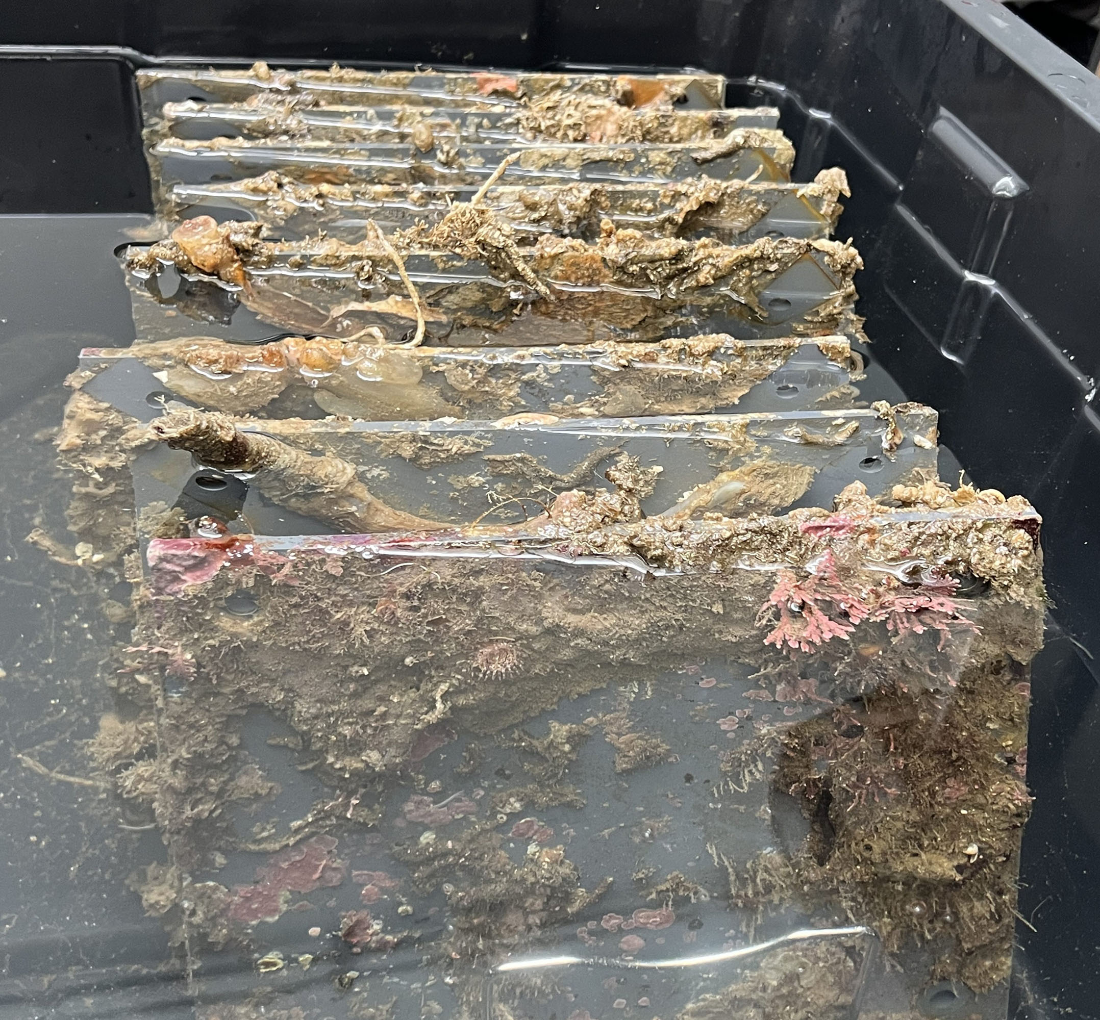 Autonomous Reef Monitoring Structures are made of PVC plate