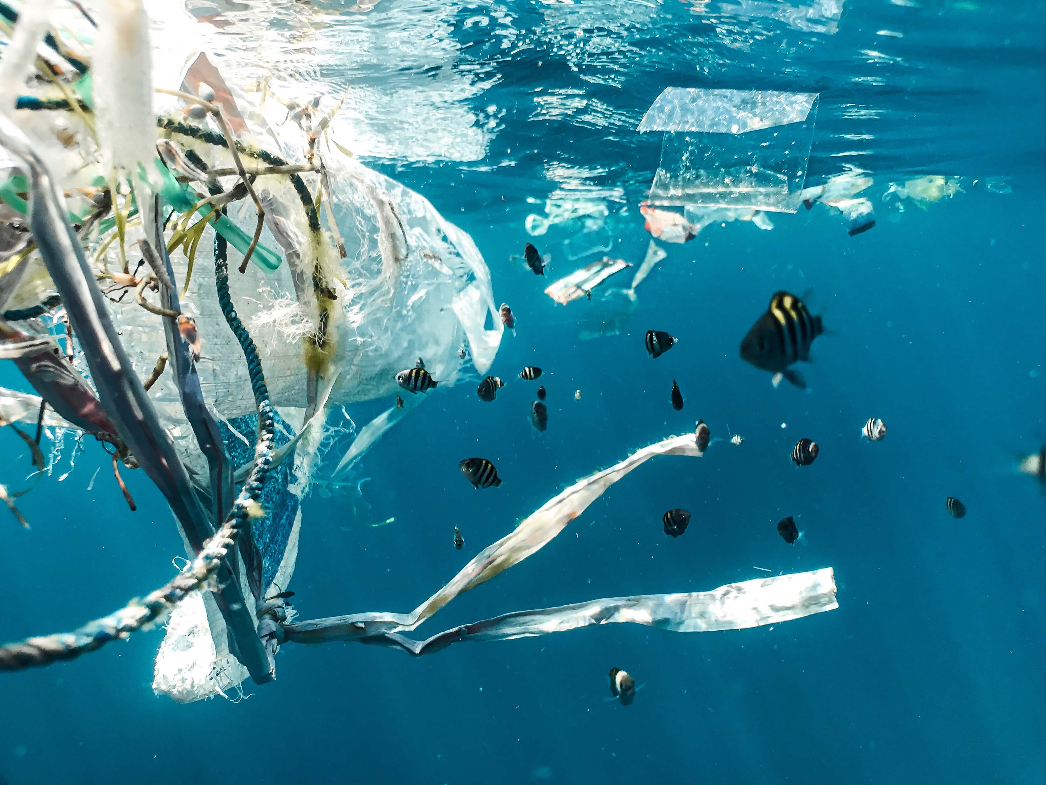 Plastic trash floating underwater