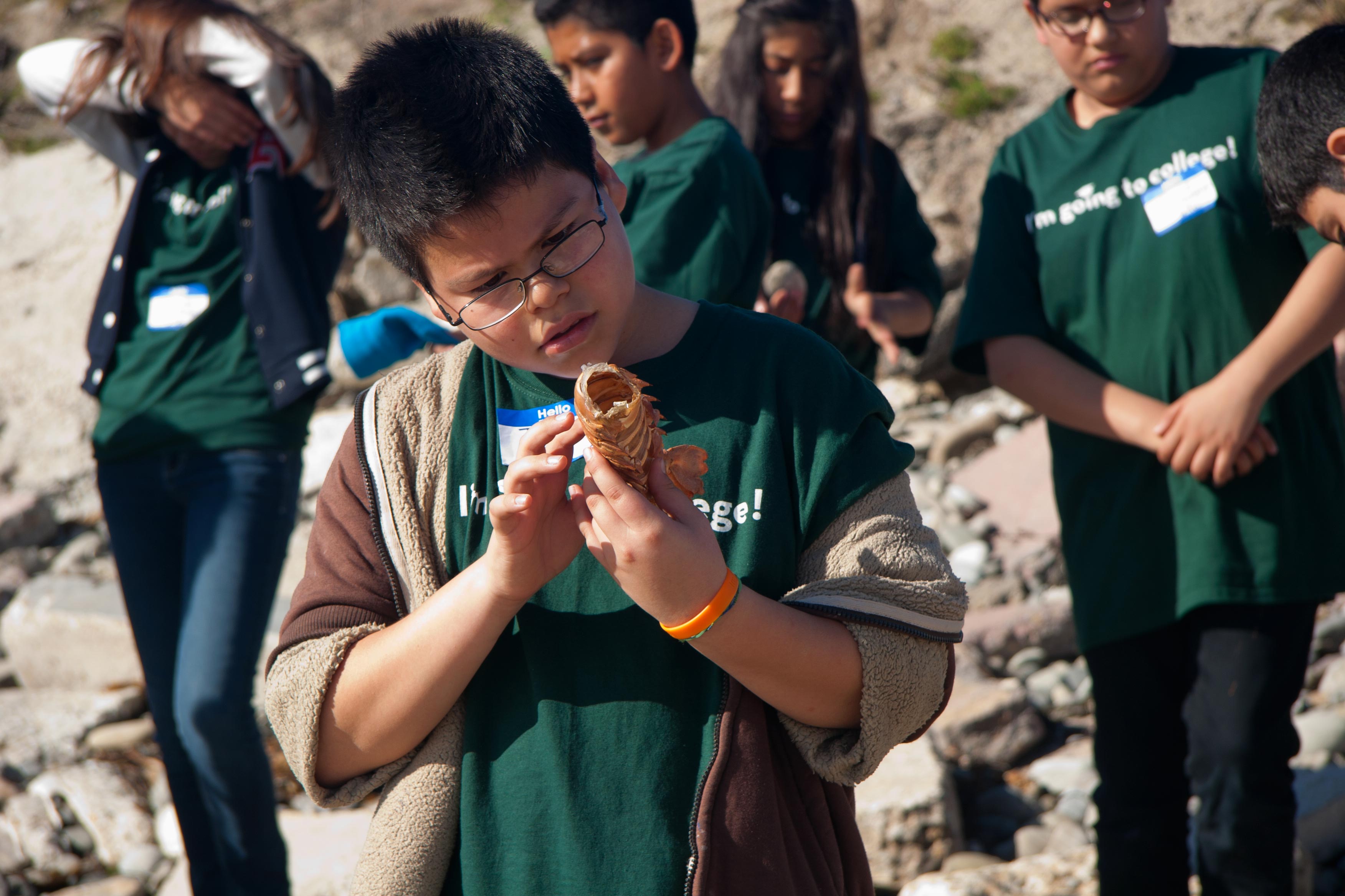 Harding School student examines a crab shell