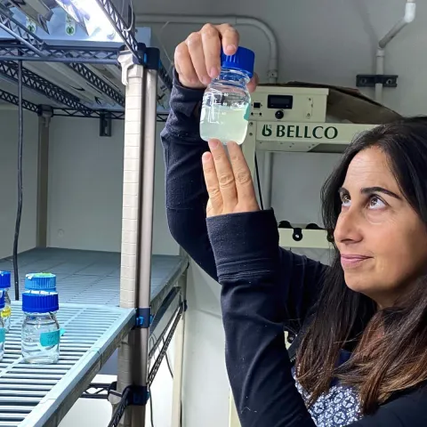 Scientist Débora Iglesias-Rodriguez looking aat container with liquid