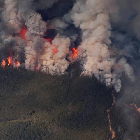 Aerial view of a forest fire with lots of smoke