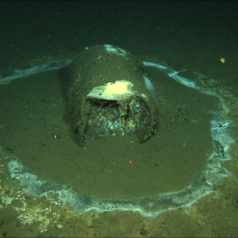 A barrel sits on the seafloor near the coast of Catalina Island, CA