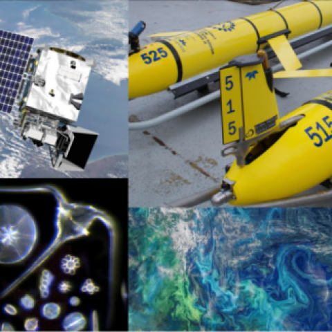Collage of satellite, phytoplankton, satellite imagery, and oceanography instruments