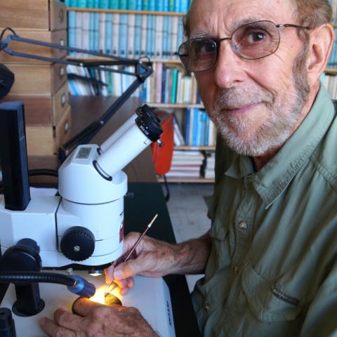 Professor emeritus James P. Kennett looking up from his microscope