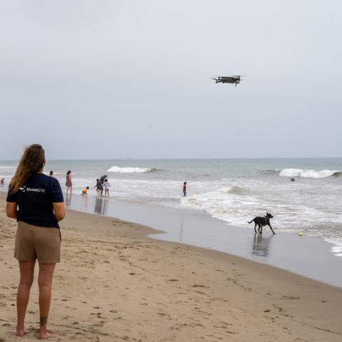 Researcher on the beach driving a drone in the sky