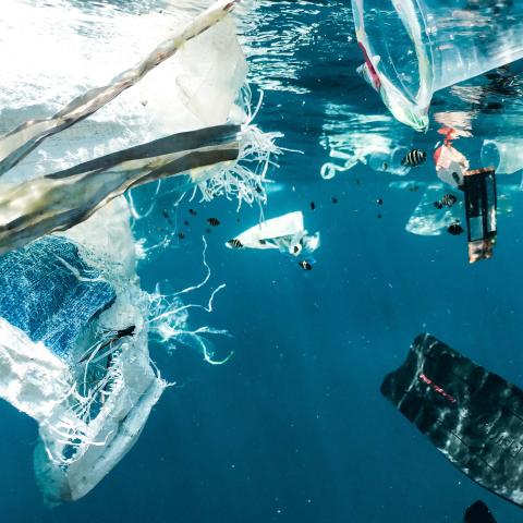 Plastic trash floating underwater