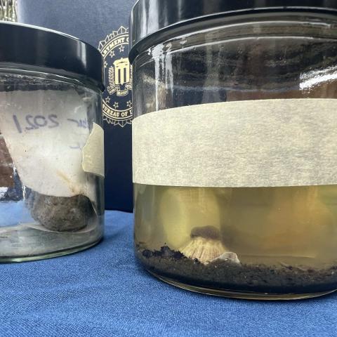 Two glass jars with samples collected during the investigation