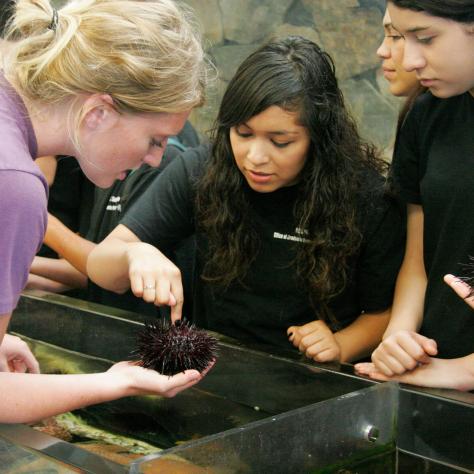 student touching sea creature