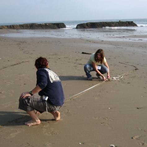 students on the beach
