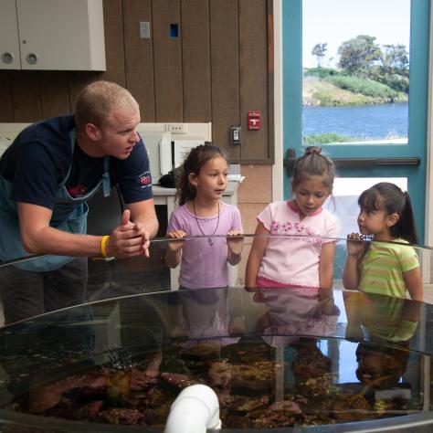 UCSB student teaches grade school kids around aquarium