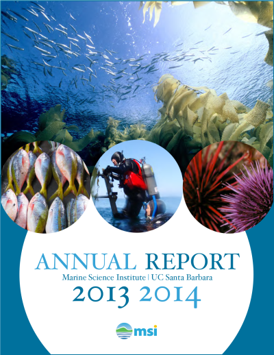 msi 2013 to 2014 annual report