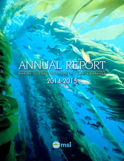msi 2014 to 2015 annual report