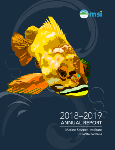 msi 2018-19 annual report 