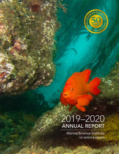 MSI 2019-20 annual report 
