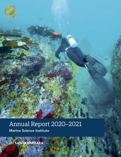 MSI 2020-21 annual report cover
