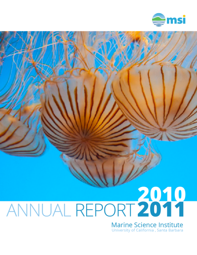 msi 2010 to 2011 annual report