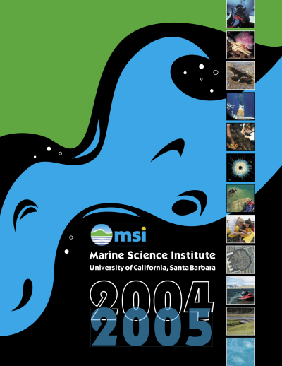 msi 2004 to 2005 annual report