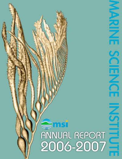 msi 2006 to 2007 annual report
