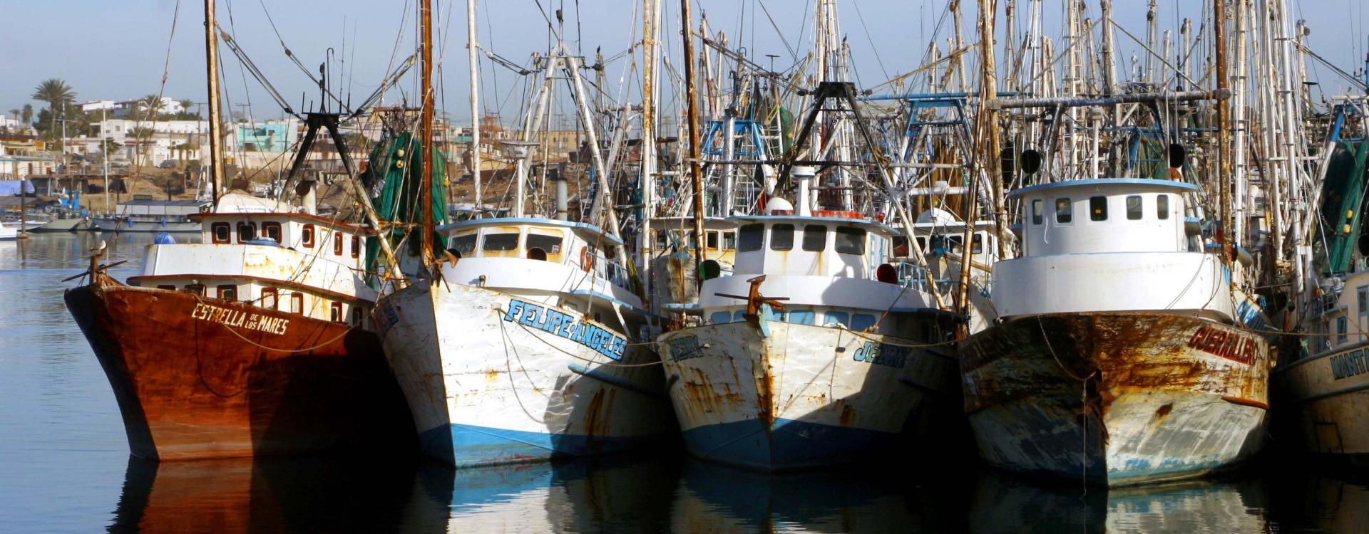 Fishing boats at a port in Mexico