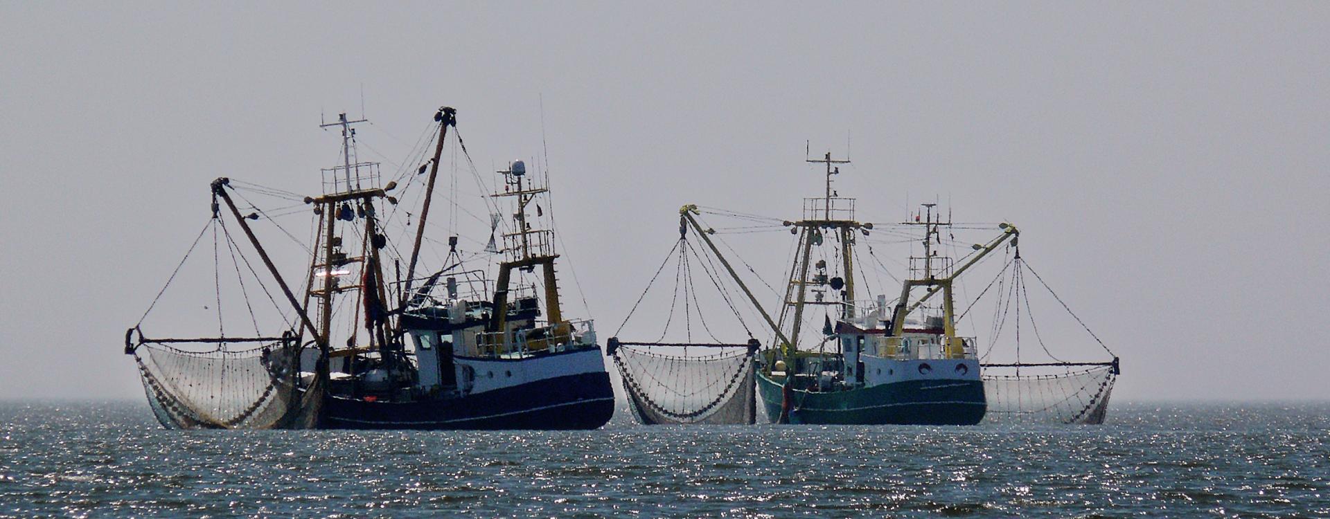 Two fishing boats at sea