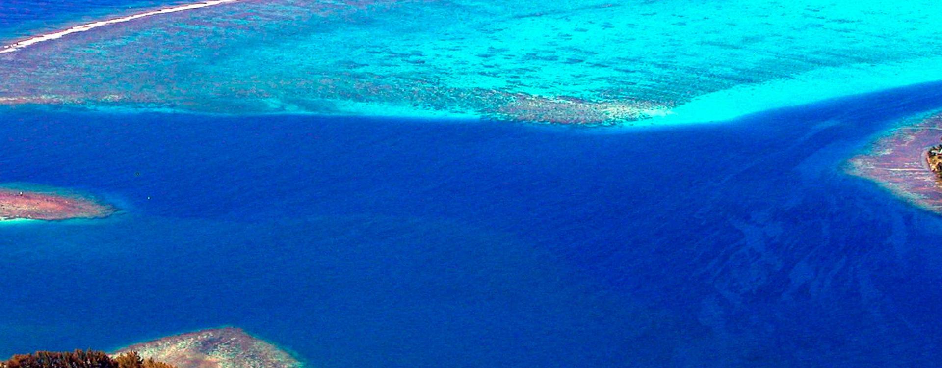 UC Gump Station, Moorea