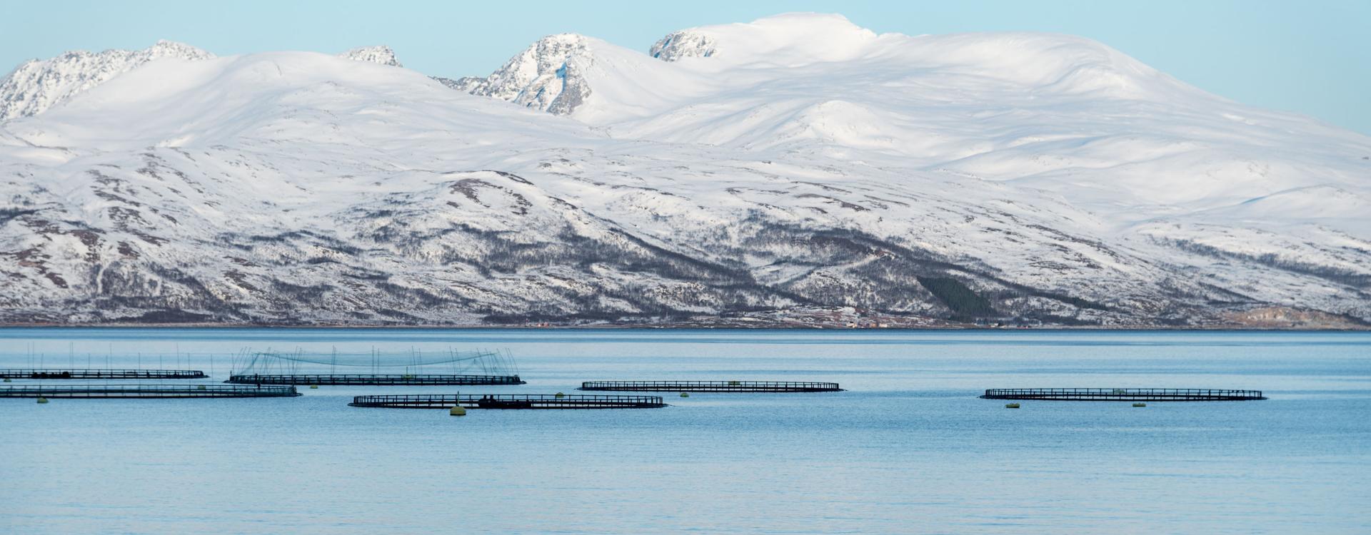 Fish farming with snowy mountains in background