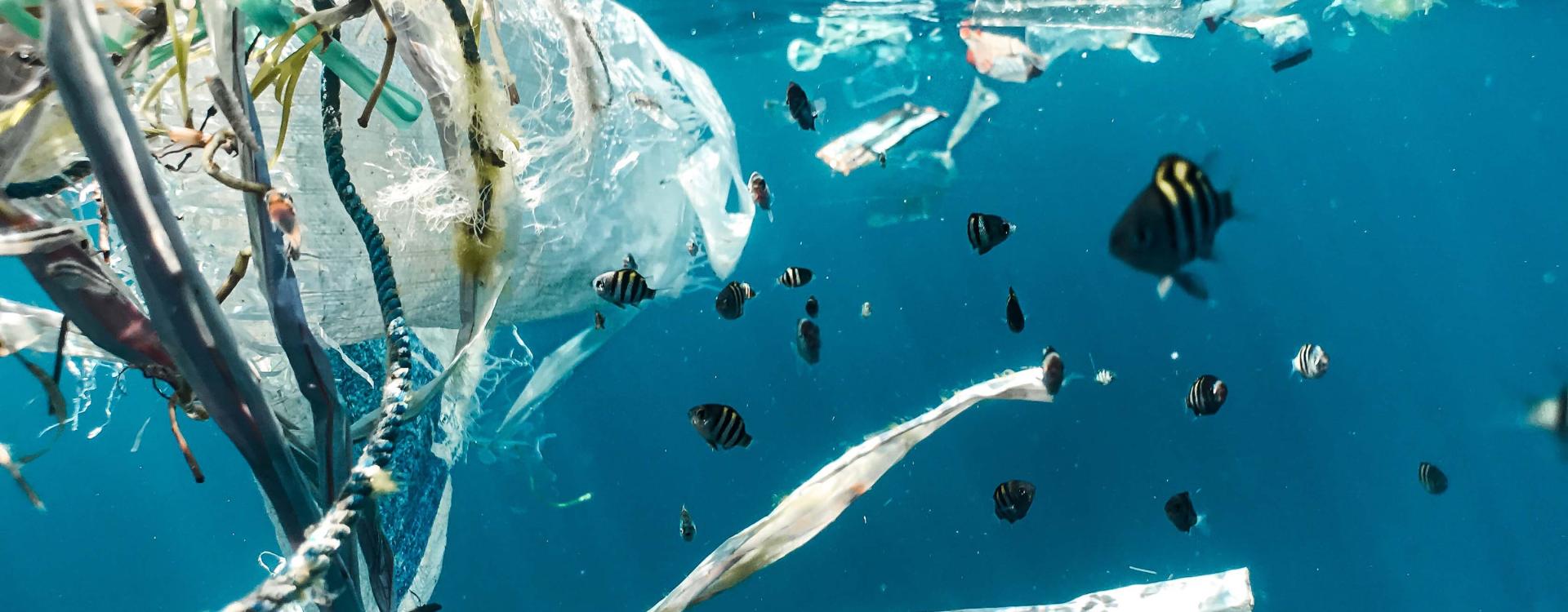 Plastic trash floating underwater