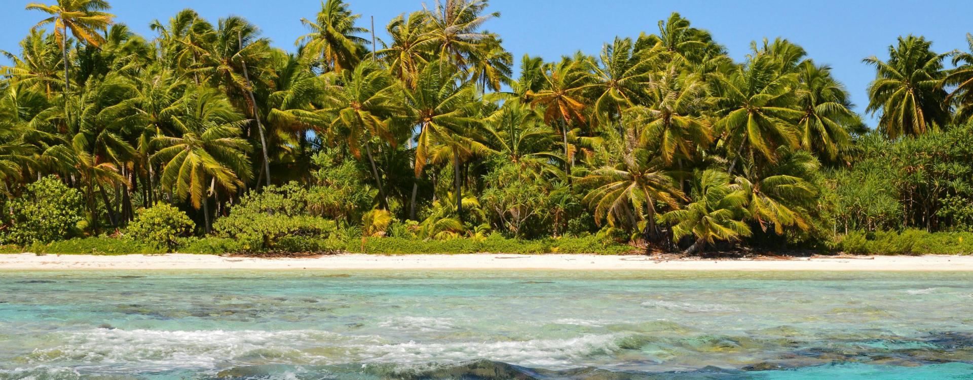 Coconut palms on white beach with blue, green ocean in front