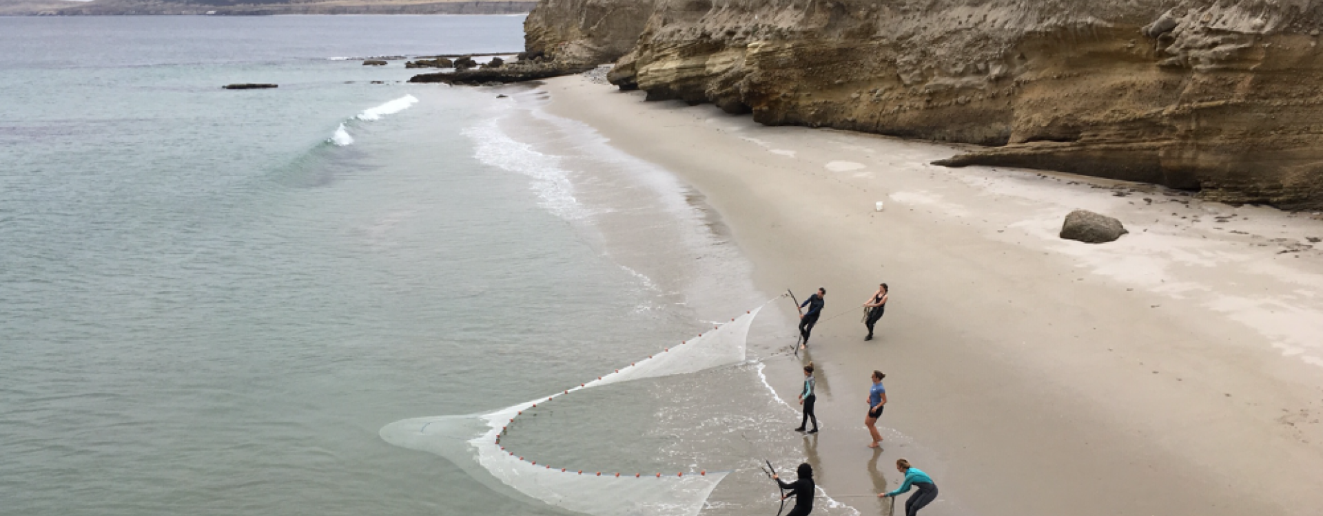 Researchers use a beach seine net to sample fish