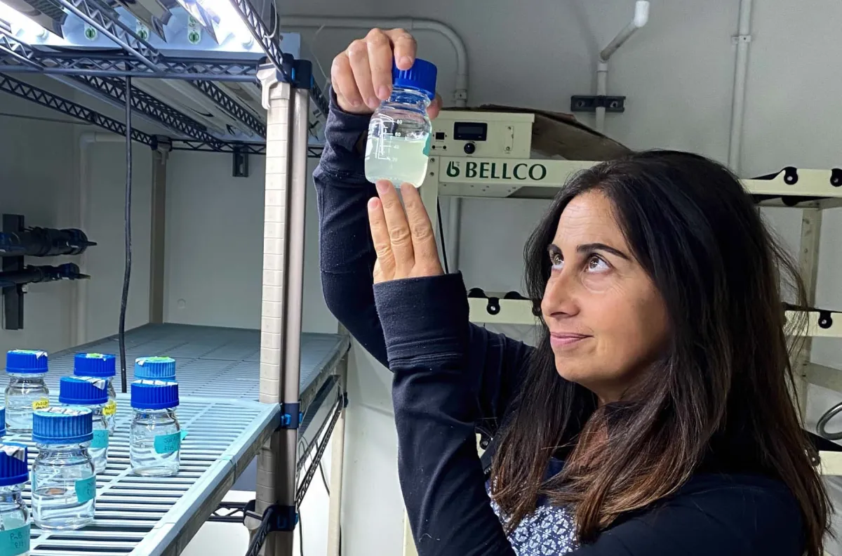 Scientist Débora Iglesias-Rodriguez looking aat container with liquid