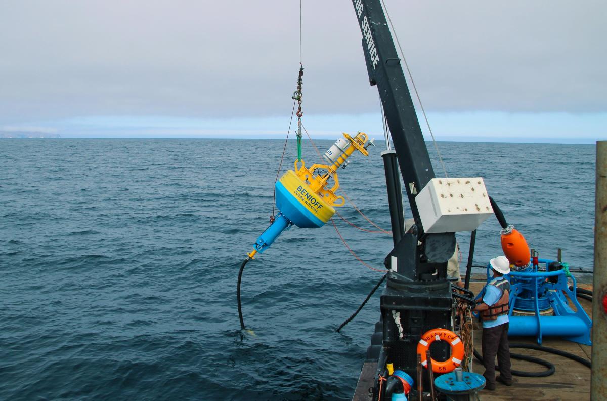 MSI Benioff Ocean Initiative boat deploys whale safe buoy