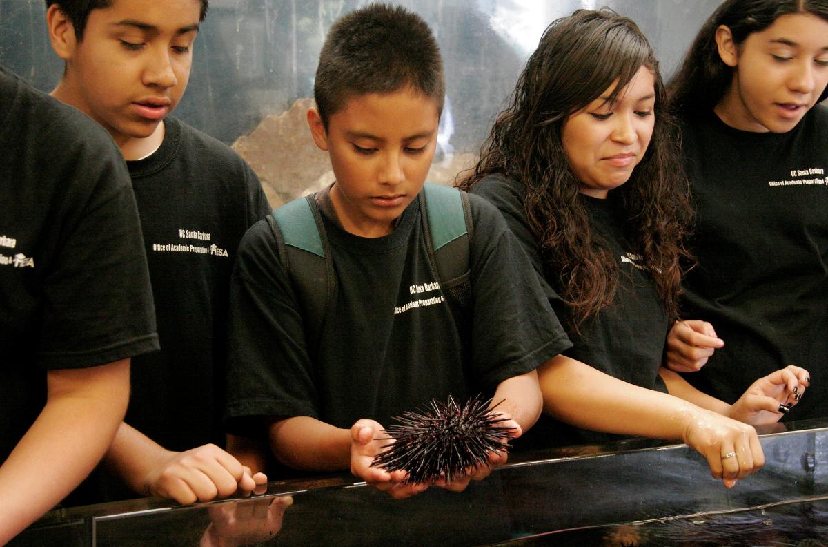 SBHS student holds sea urchin over aquarium at The REEF UCSB