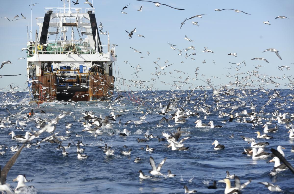 A trawler off the coast of South Africa