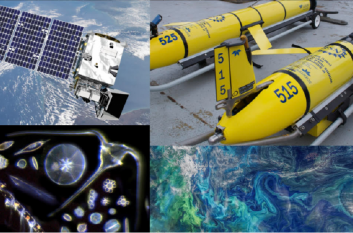 Collage of satellite, phytoplankton, satellite imagery, and oceanography instruments