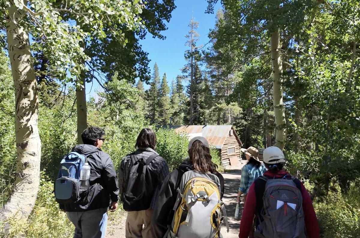 Students walking  on a trail to a forest cabin