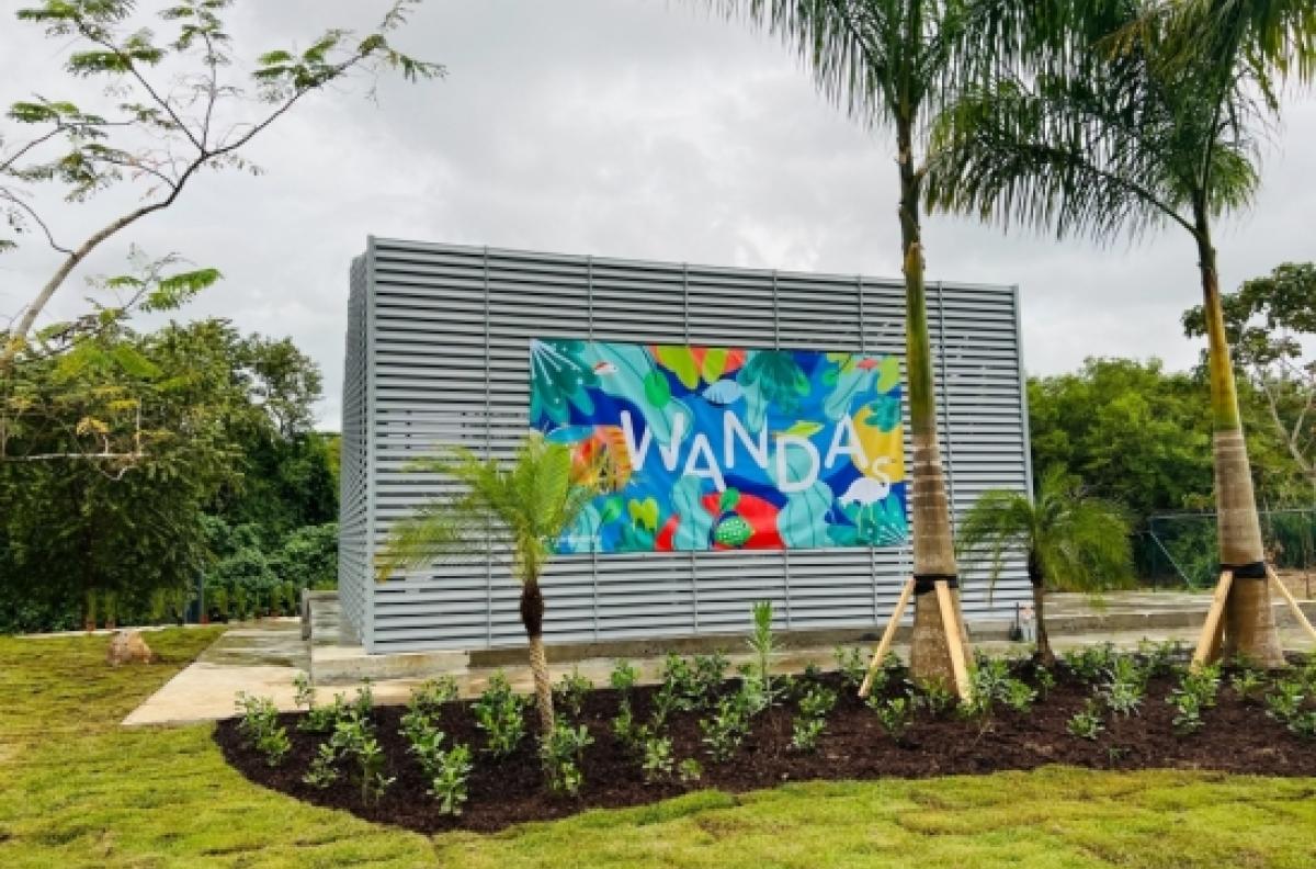 A steel structure sits behind palm trees and is adorned with a bright, multicolored banner reading "Wanda"