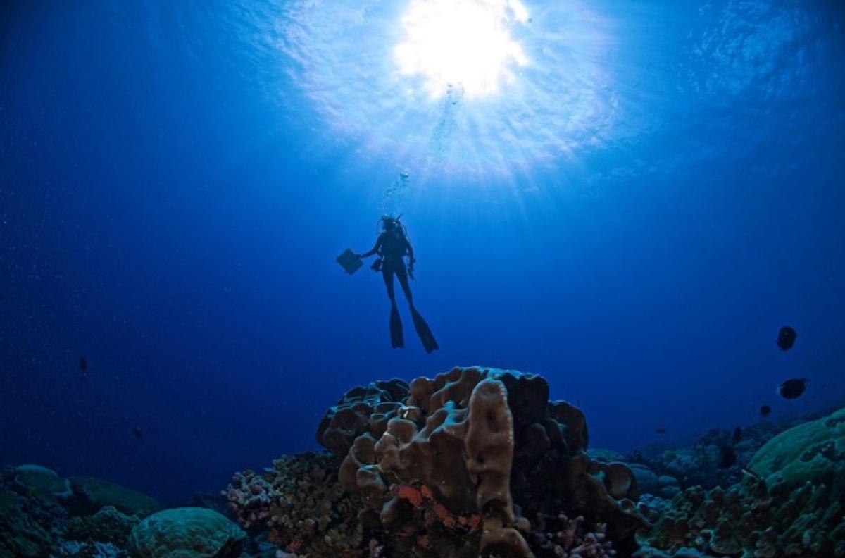 Jenn scuba diving swimming up to thelight