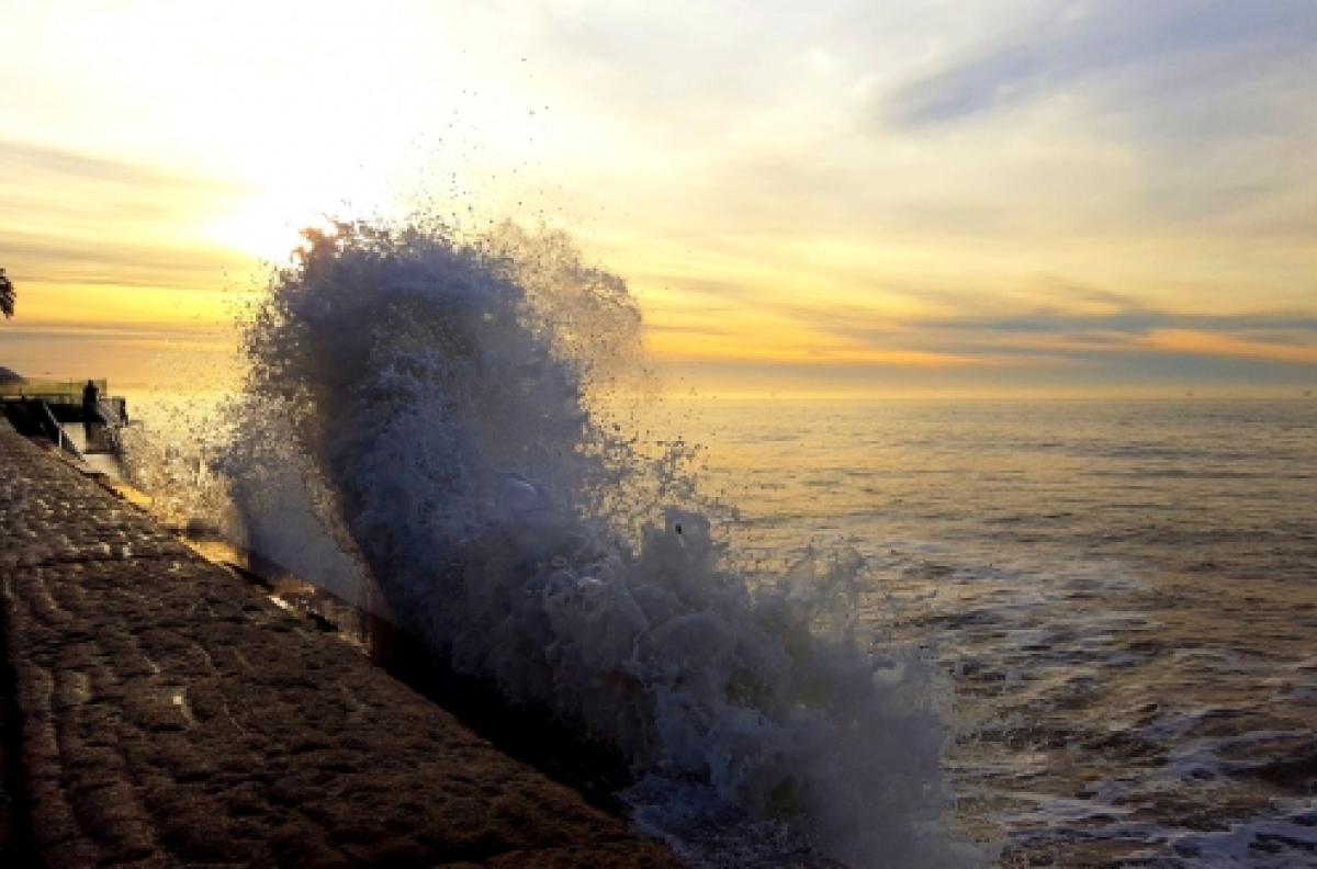 butterfly beach