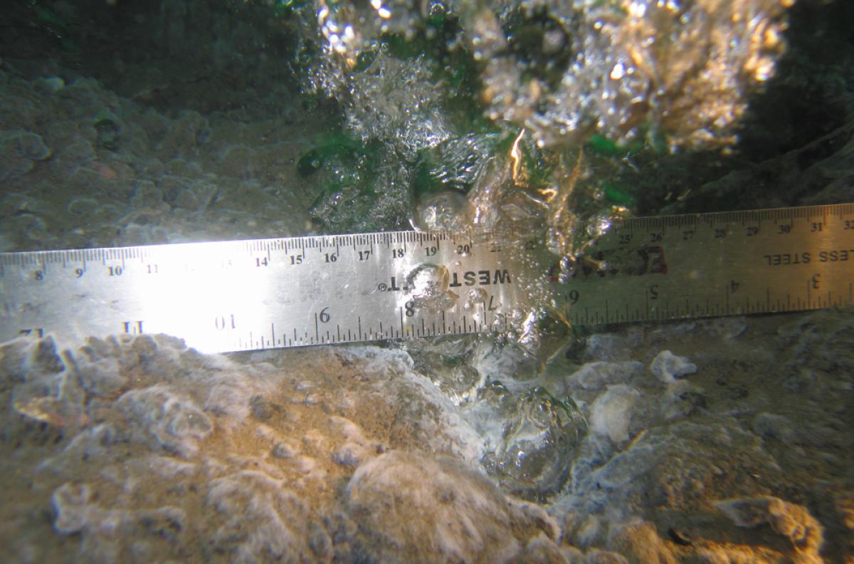 Methane bubbles escaping from the ocean floor