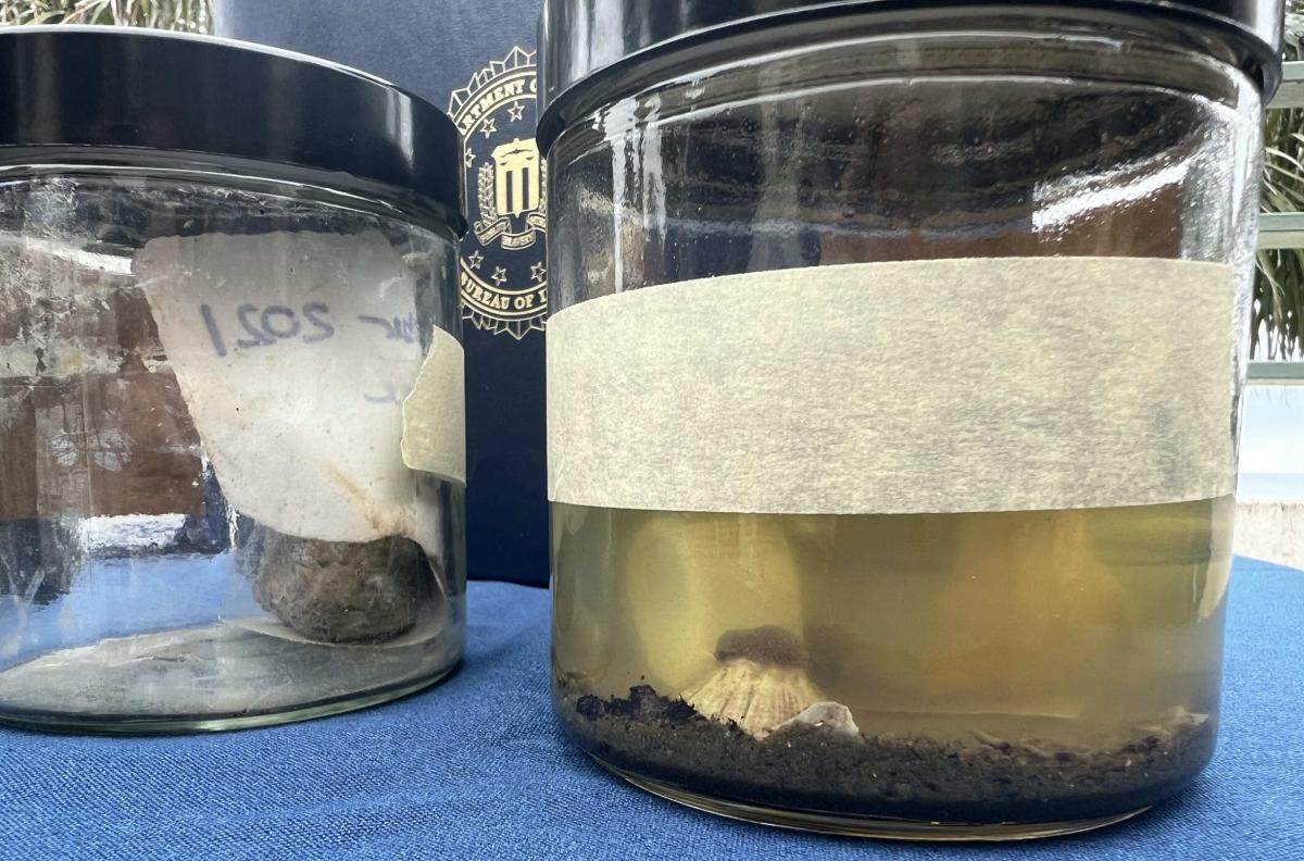 Two glass jars with samples collected during the investigation
