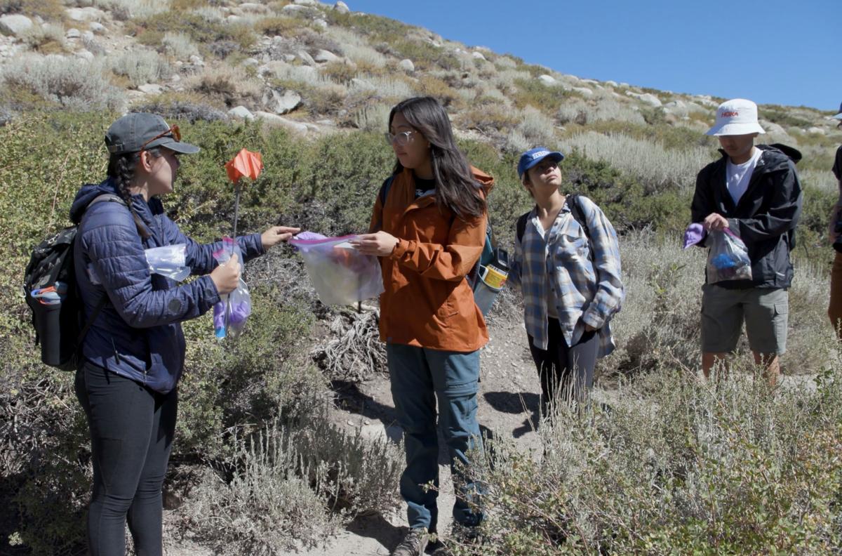 Four student walking on mountain trail and placing samples in ziplock