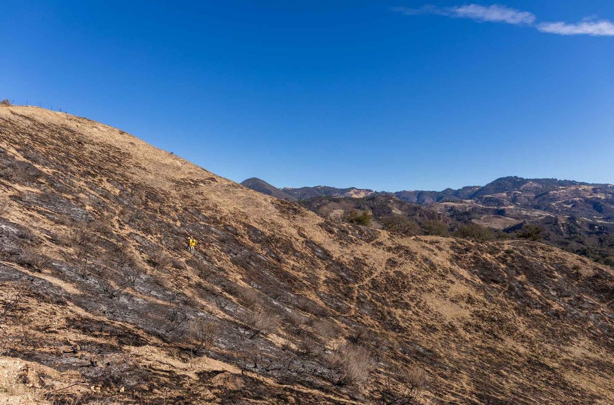 A prescribed burn three days prior scorched the hillside to the north